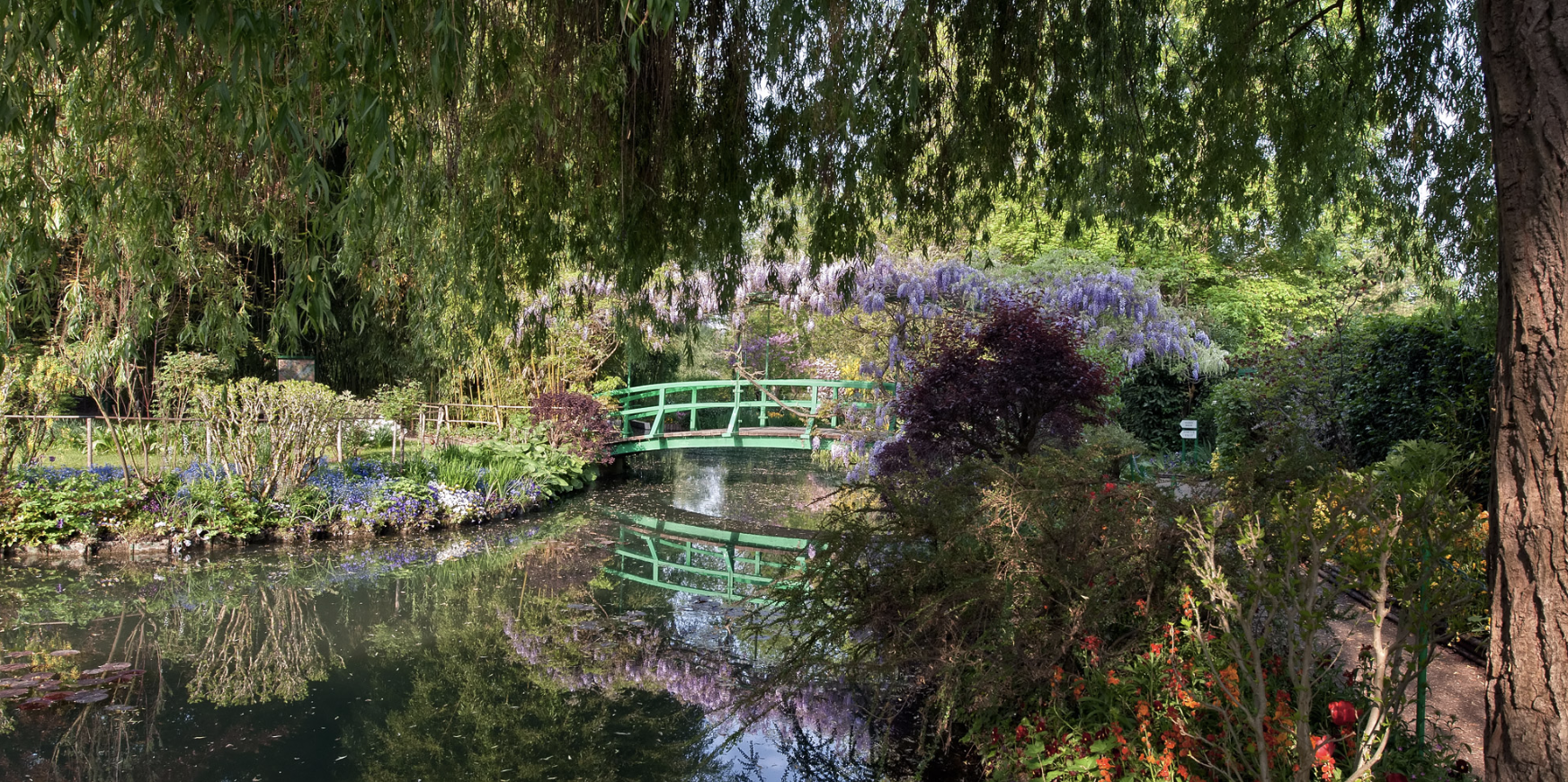 Claude Monet's Water lily pond