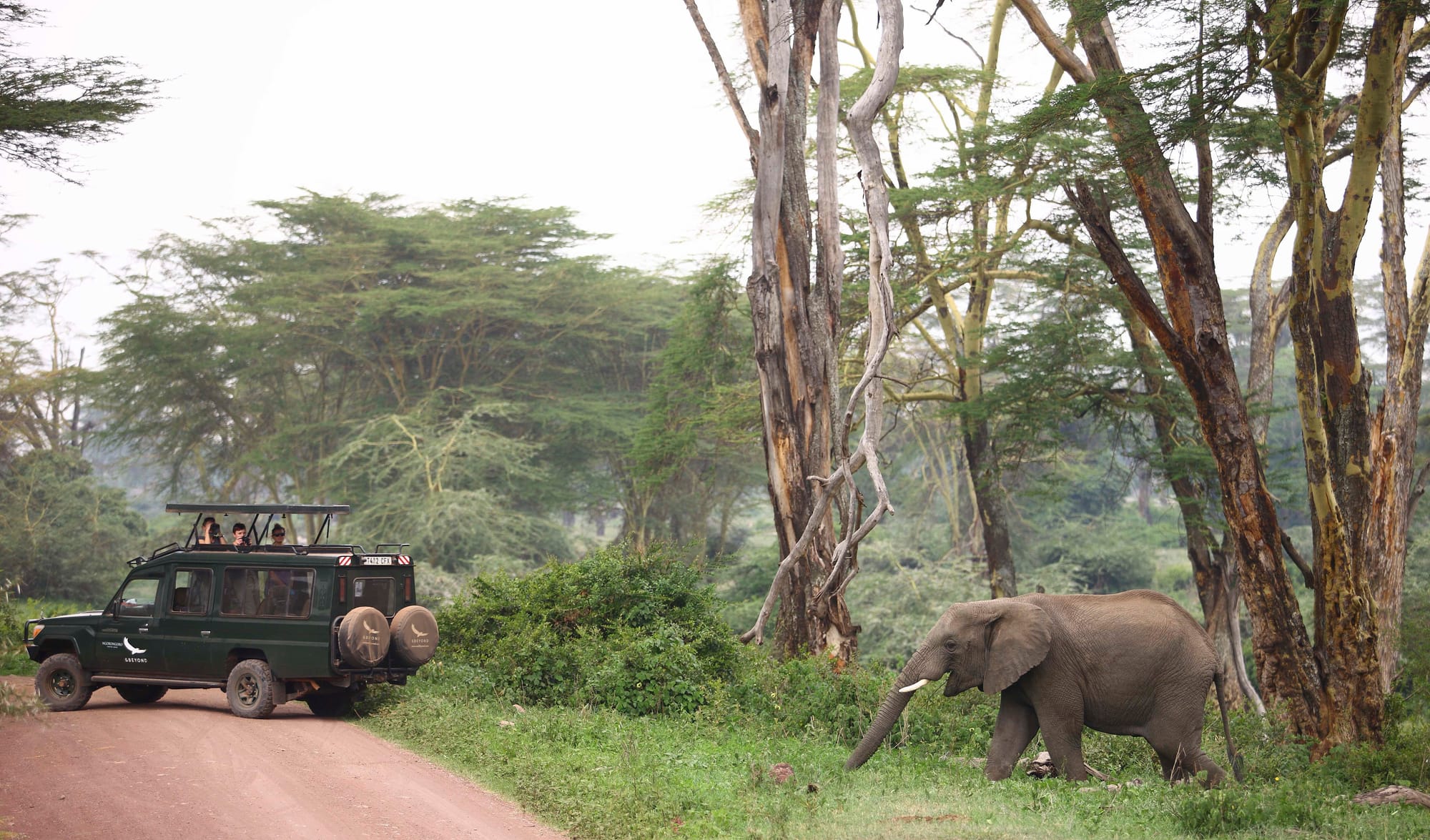 Ngorongoro Crater Lodge