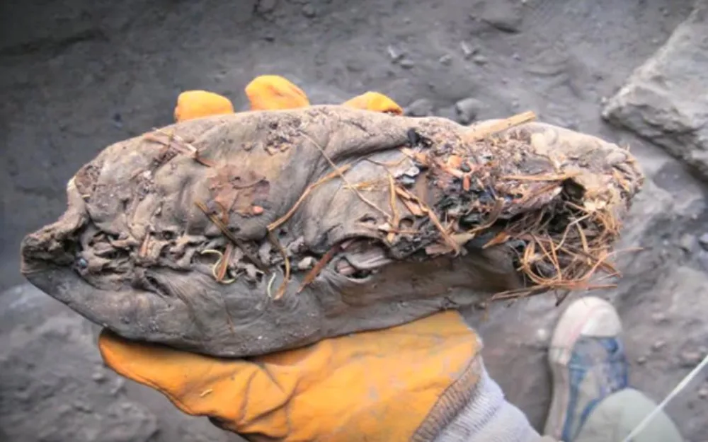 leather shoe discovered alongside Ötzi the Iceman