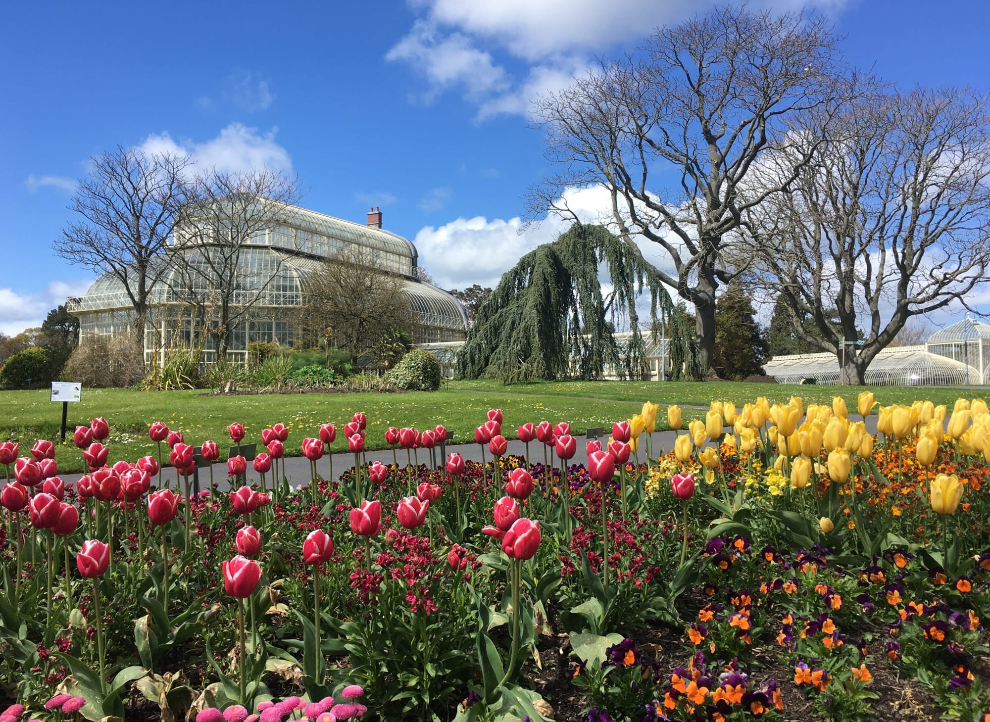 National Botanic Garden of Ireland – Glasnevin