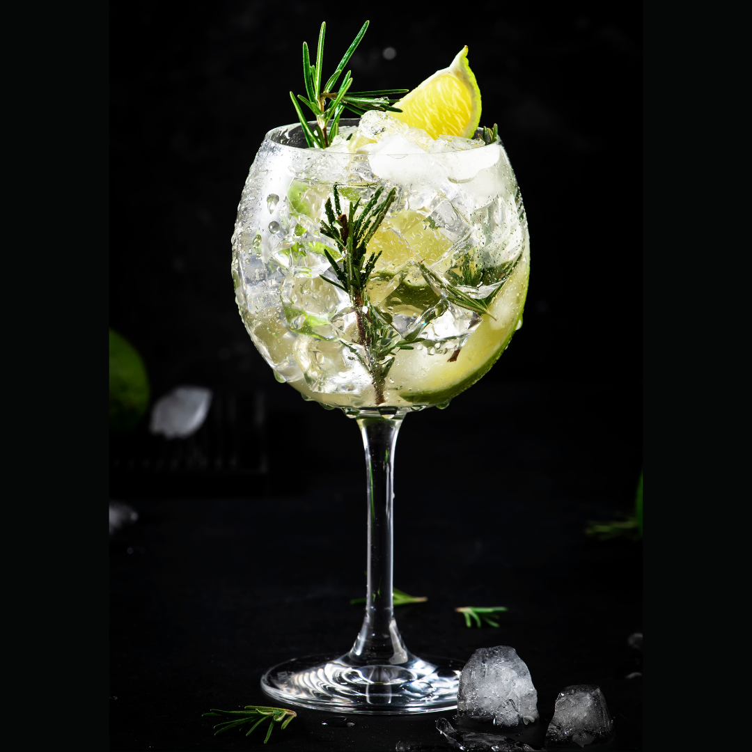 Classic Gin and Tonic