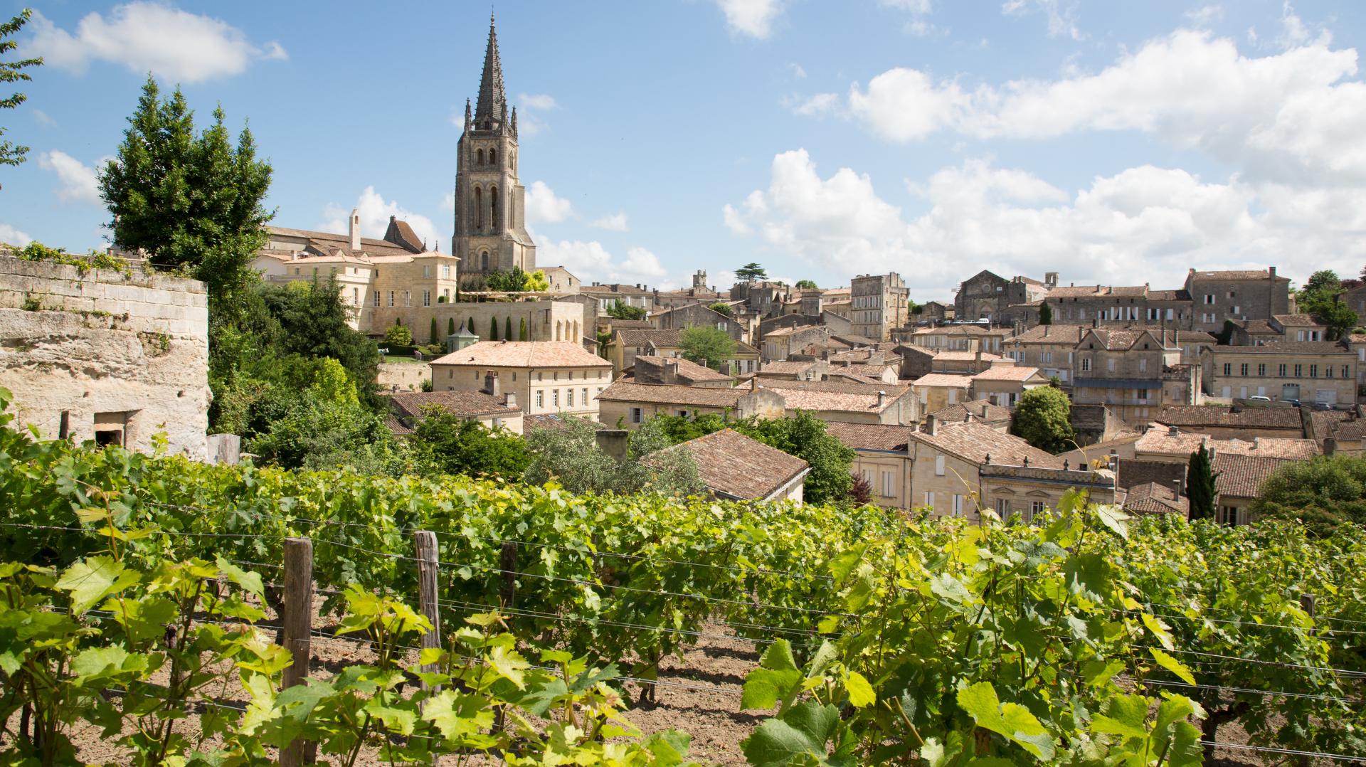 French viticulture