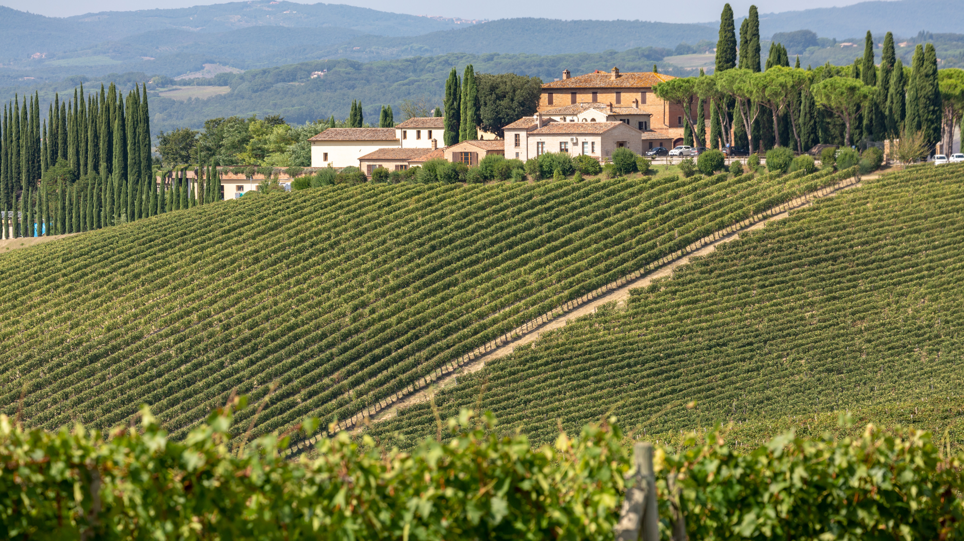  Viticulture in Italy