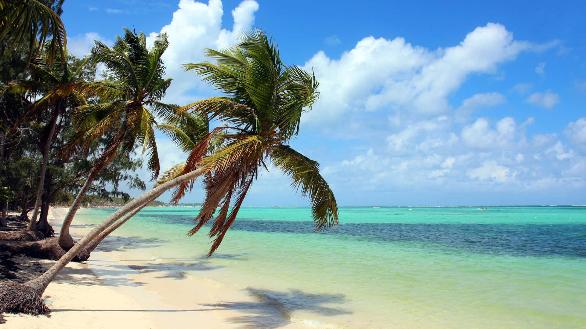 Bavaro Beach