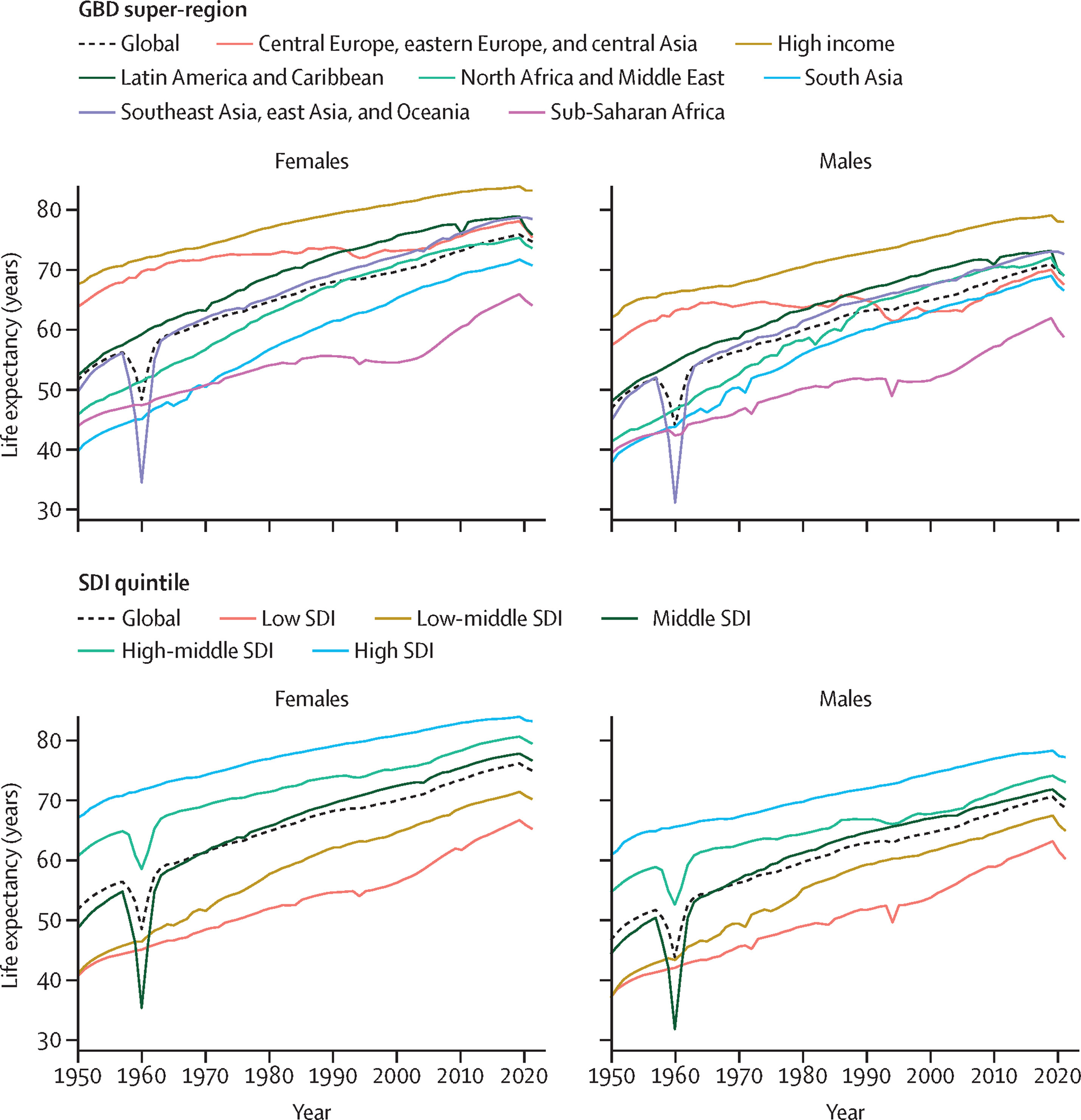 Institute for Health Metrics and Evaluation