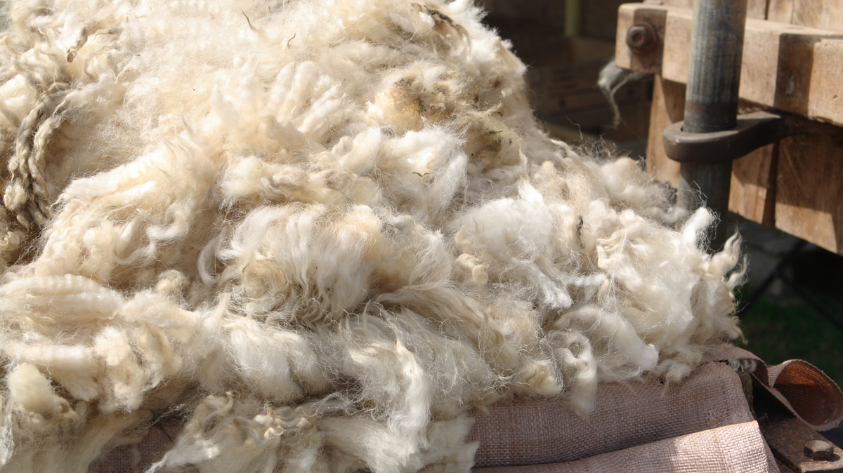 Exploring the Unique Appeal of Irish Wool