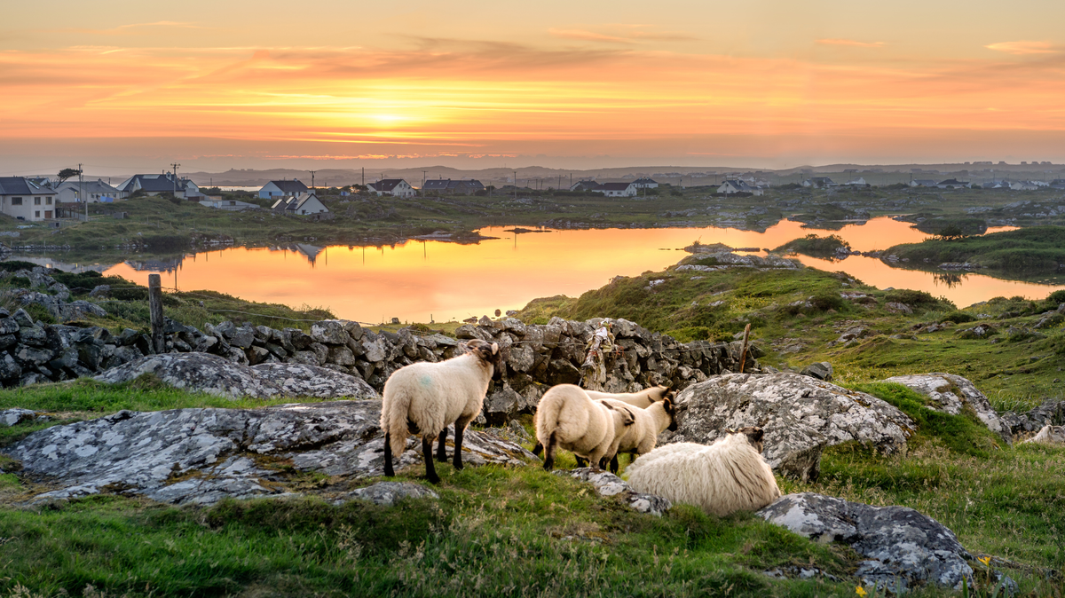 Ireland Ranked the 26th Most Relaxing Country for 2025