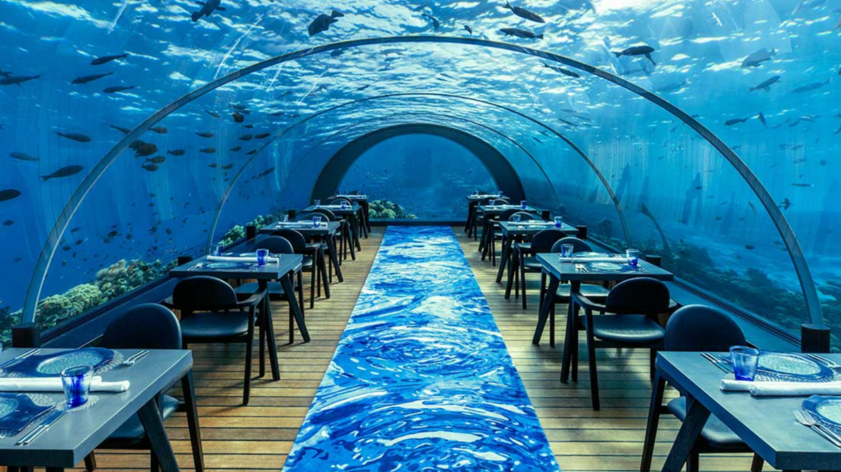 How Underwater Restaurants Redefine Fine Dining