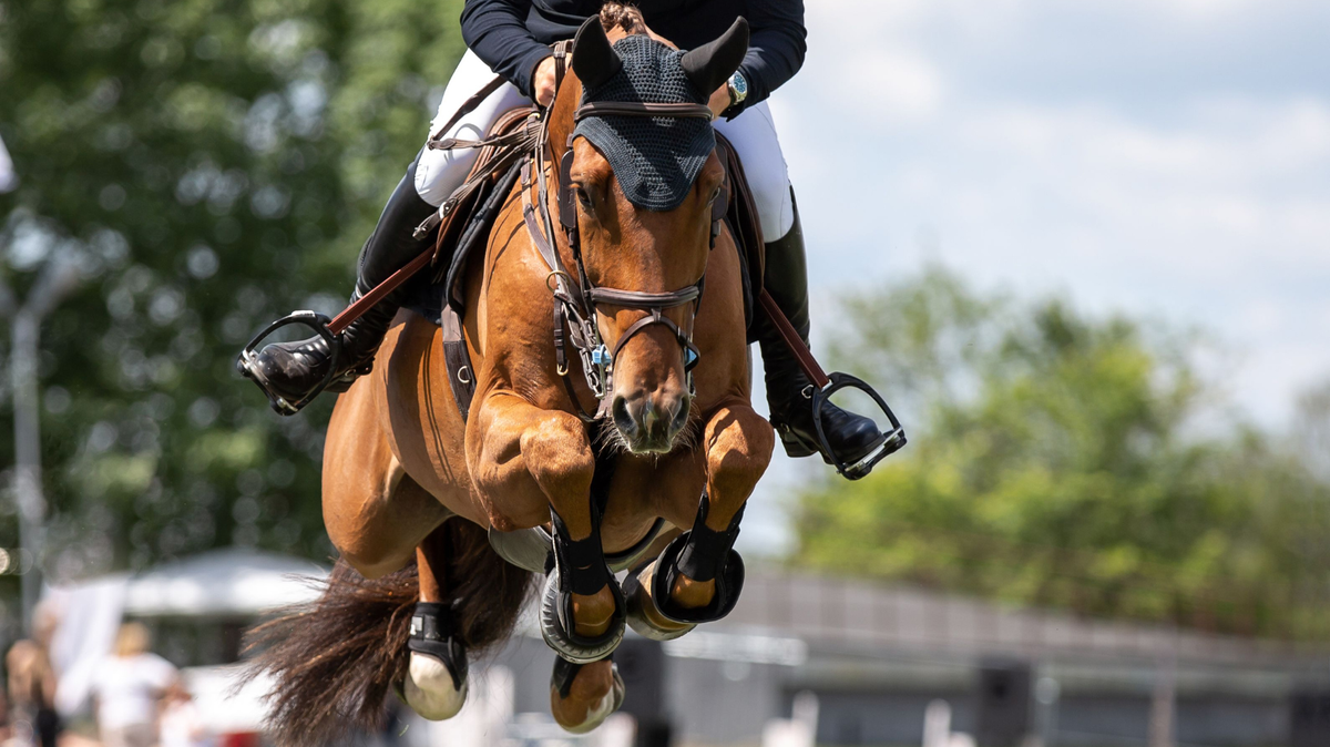 The 6 Equestrian Events Worth Traveling for This Year