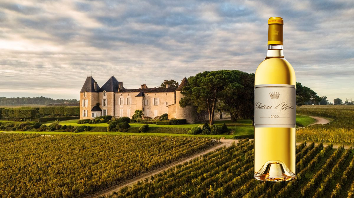 Château d’Yquem Unveils Its Exceptional 2022 Vintage