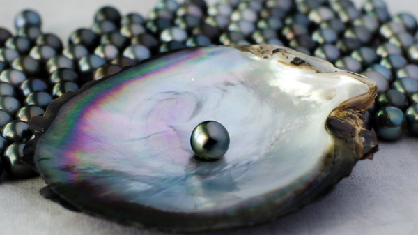 Tahitian pearls